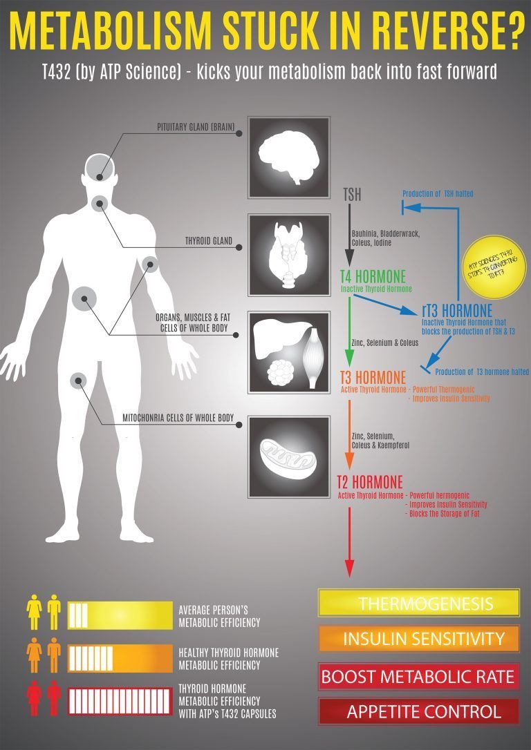 Thyroid hormone for fat loss