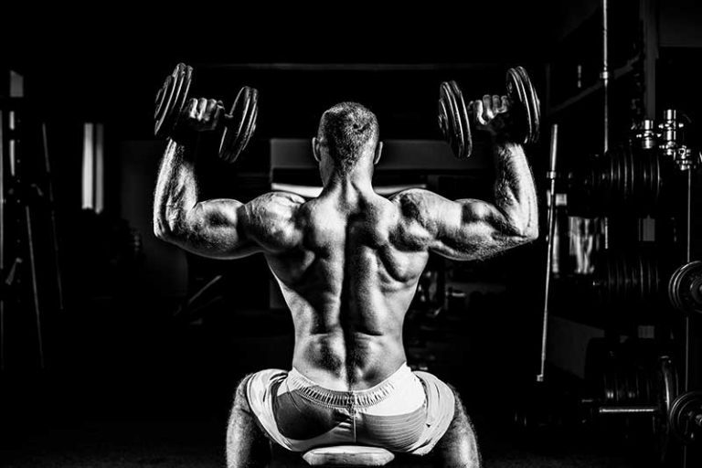 Deltoid Muscle Exercises