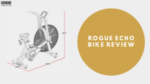 Rogue Echo Bike Review