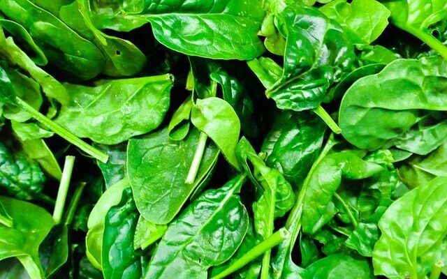 Spinach Protein Booster Foods In Smoothies