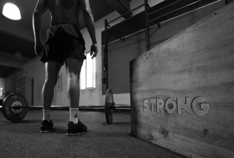 3 Day Workout Split