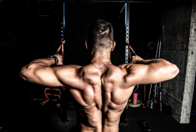 Back And Bicep Workout For Muscle Growth