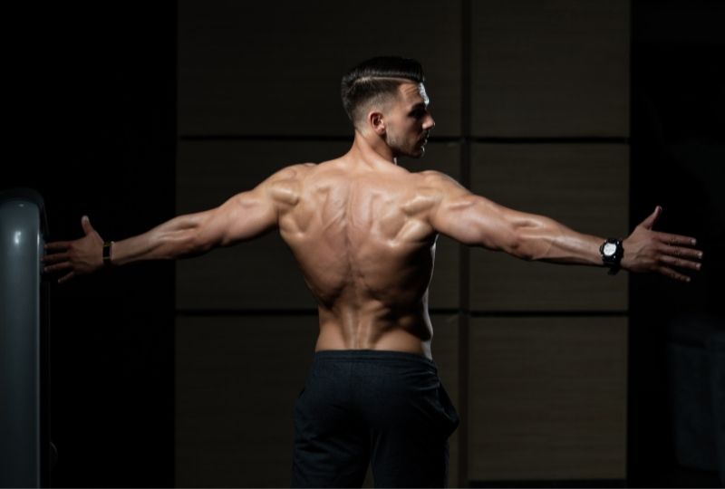 Benefits to Building a Strong Back and Biceps