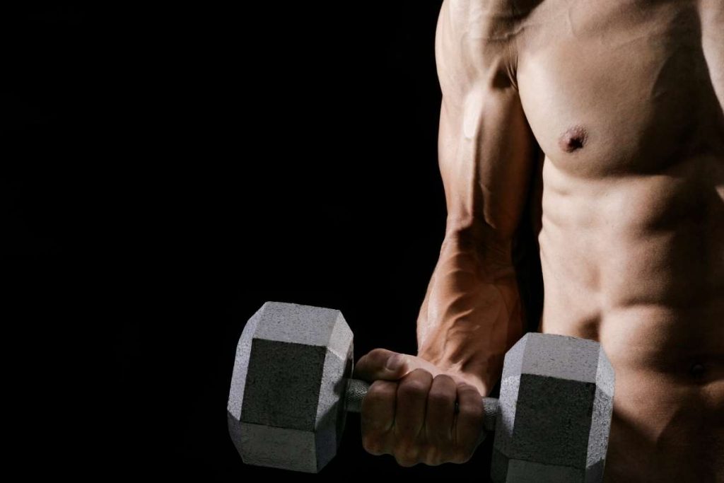 5 day dumbbell workout routine