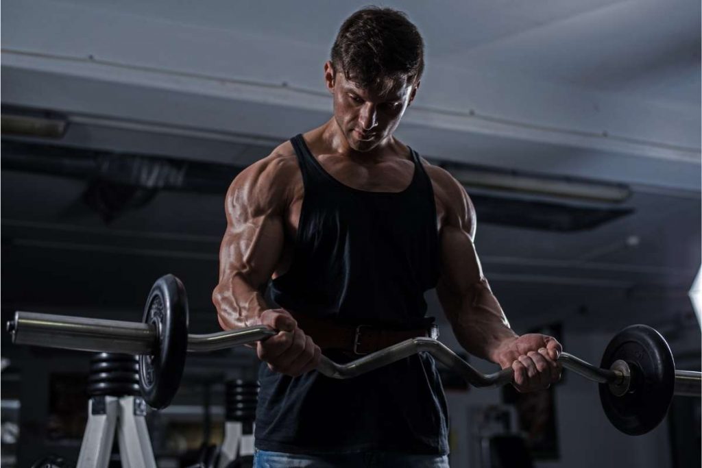 best workout plan for muscle gain