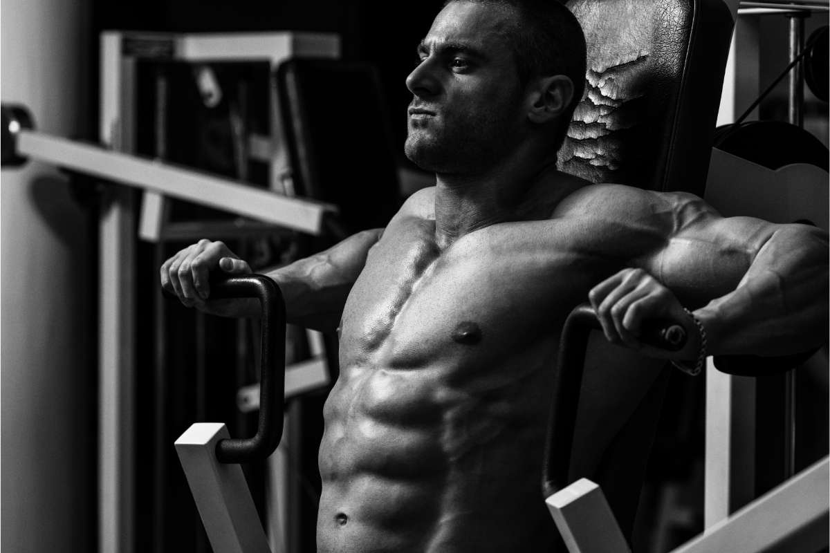 7 Day Gym Workout Plan For Beginners With PDF 