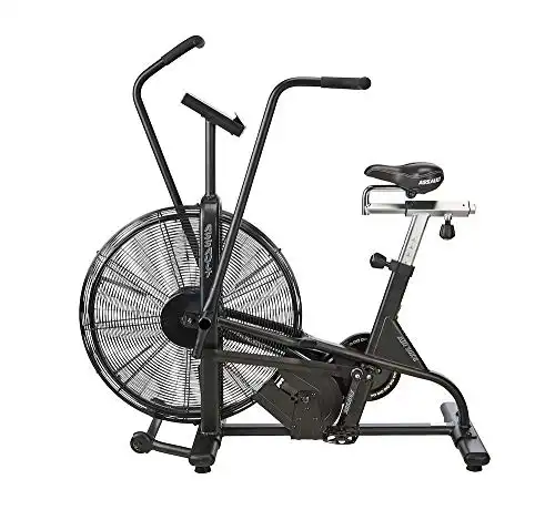 Echo bike rogue discount fitness