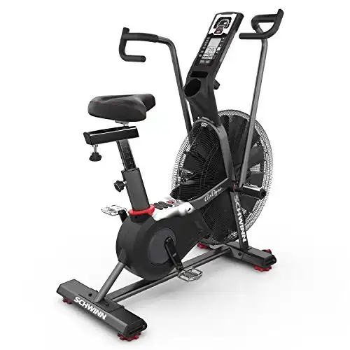 Schwinn Fitness AD Pro Airdyne Bike