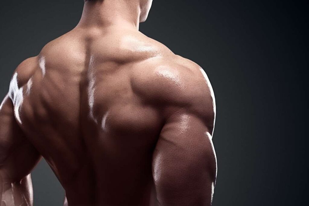 exercises to strengthen middle back
