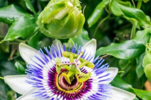 Arnold Schwarzenegger Drops a Fitness Deal to Help Unemployed