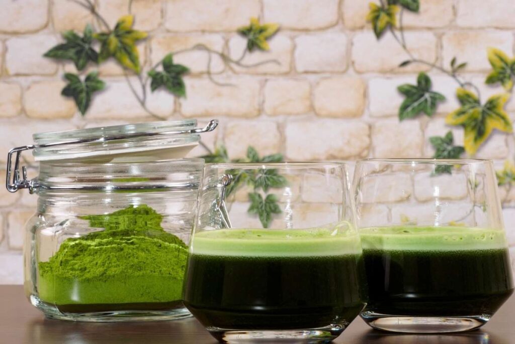 Best Greens Powders