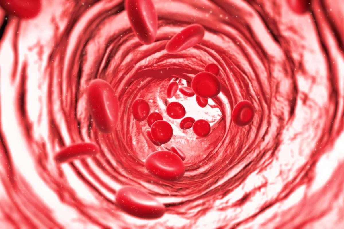 10 Best Nitric Oxide Supplements The Best Of NO2 Workout Boosters