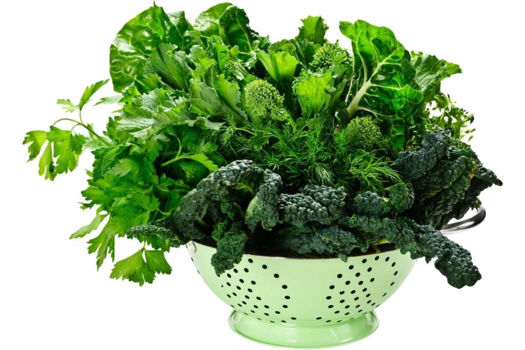 most effective Greens Powder ingredients