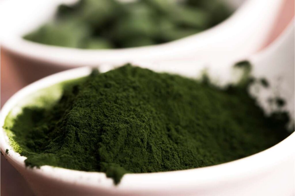 organifi green ingredients