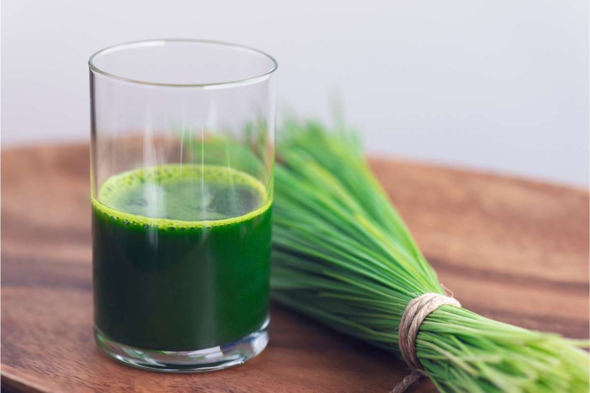 Organifi Green Juice Review Is It The Best Superfood Powder?