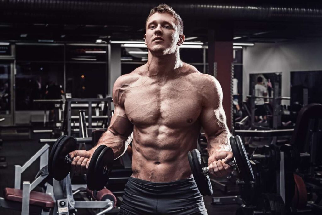 best 5 day workout split for muscle gain