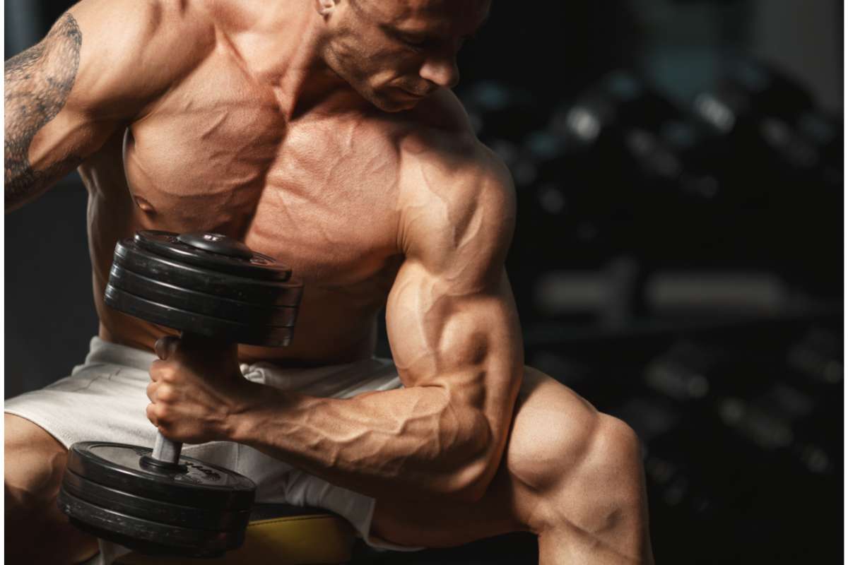 dumbbell forearm workouts importance