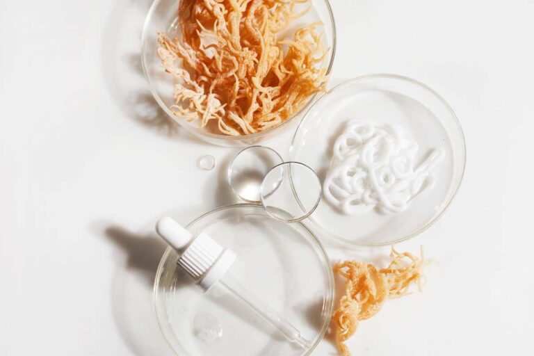 Sea Moss Consumption