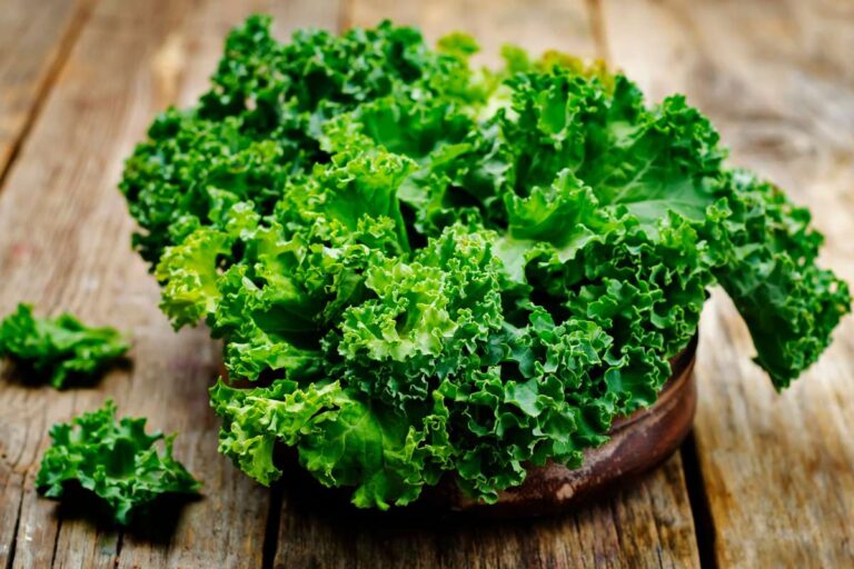 Bloom Greens Alternative Dietitian Shares Best Alternatives