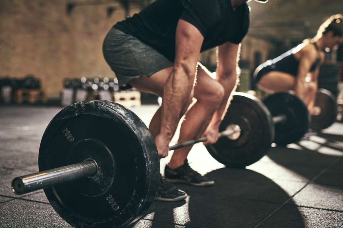 Jocko Willink Workout Routine And Diet Plan 2024