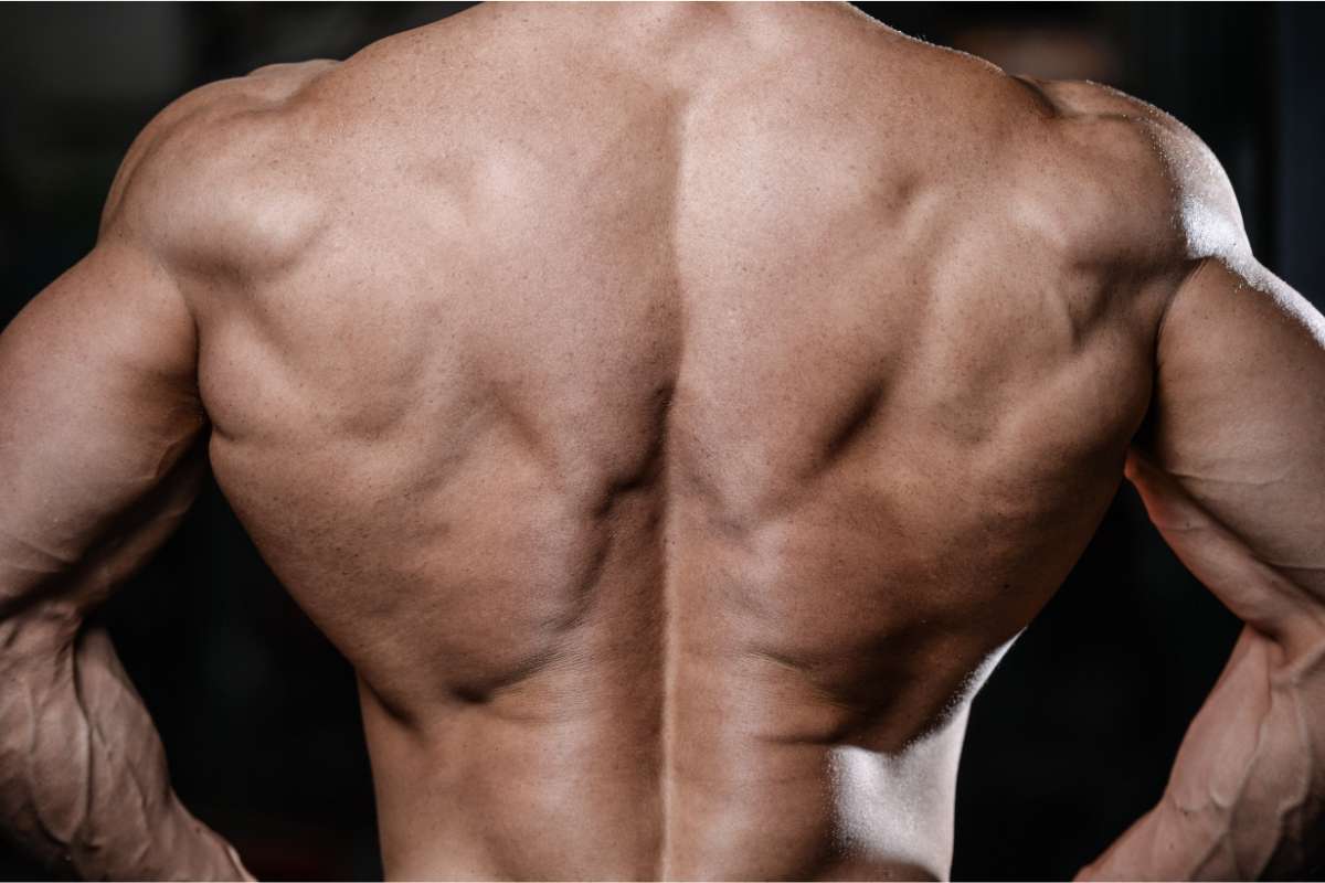 Transform Your Back At Home: The Ultimate At Home Back Workout Guide