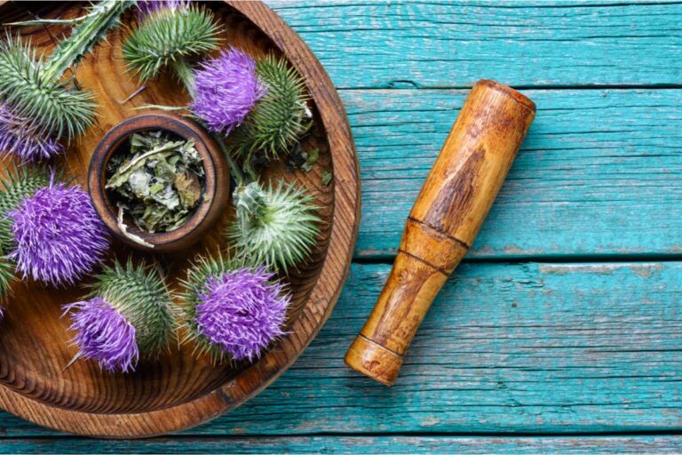 15 Super Greens Benefits Discovering The Advantages Of These Nutrient