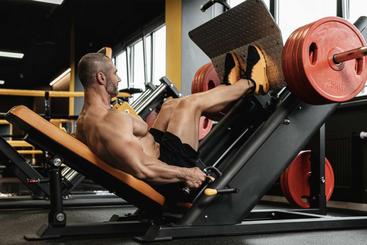 Best Exercise Machines to Build Leg Muscle - Eser Marketing ... Best machines for leg workout